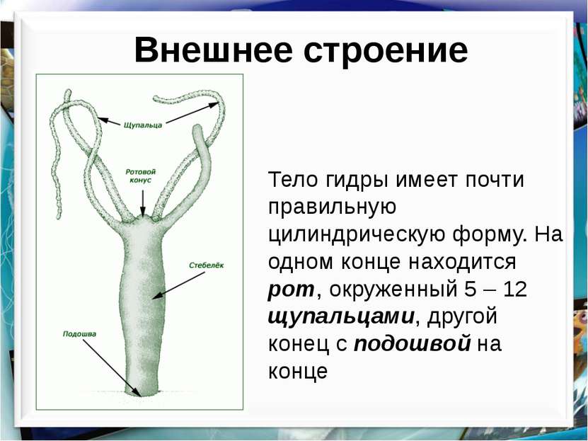 Кракен даркнет текст